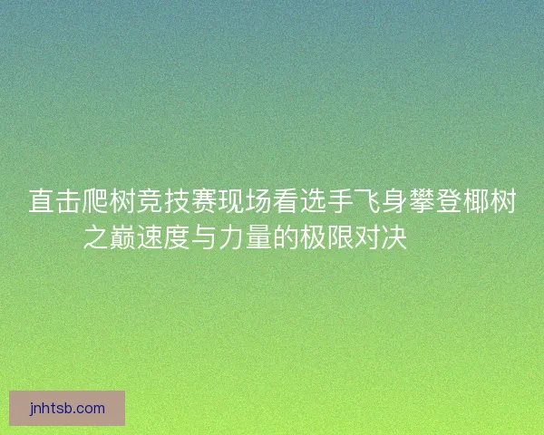 直击爬树竞技赛现场看选手飞身攀登椰树之巅速度与力量的极限对决🌴🏆